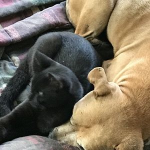 Meet your Posher, Jo